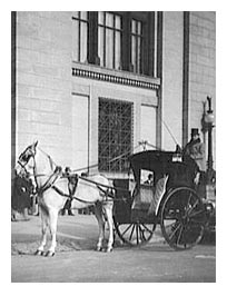 Horse and Carriage in Front of the Farmers and Mechanics Building